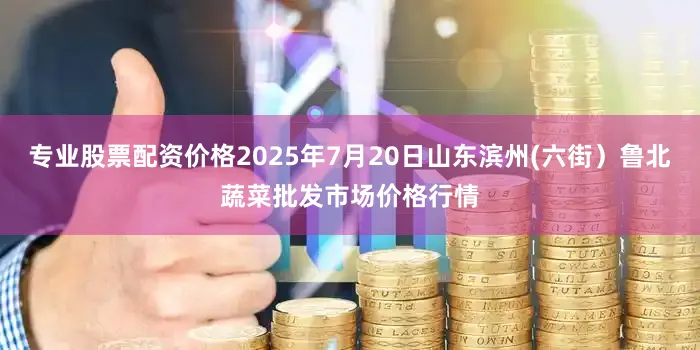 专业股票配资价格2025年7月20日山东滨州(六街）鲁北蔬菜批发市场价格行情